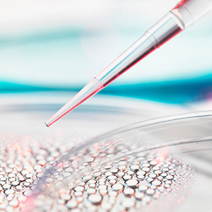 如何生成真實的液相色譜分析結(jié)果？