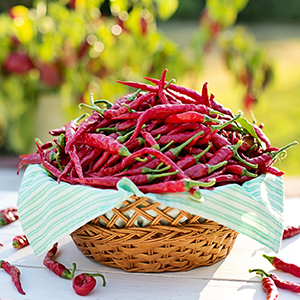 辣椒怎么評選辣味等級？當然用HPLC來測啦！