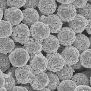 HPLC 固定相的都經(jīng)過的哪些變化？