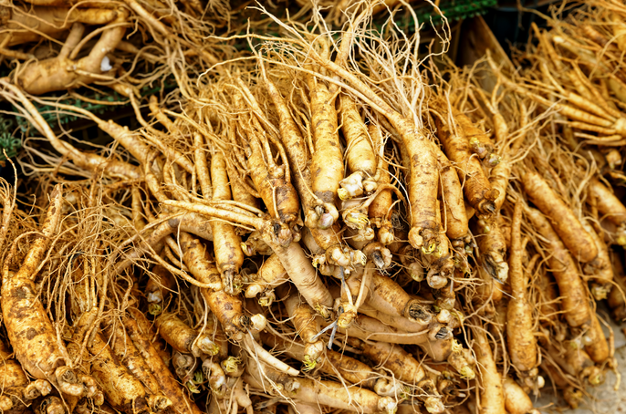 解析中藥藥效核心：入血成分分析助力中醫(yī)藥現(xiàn)代化發(fā)展！